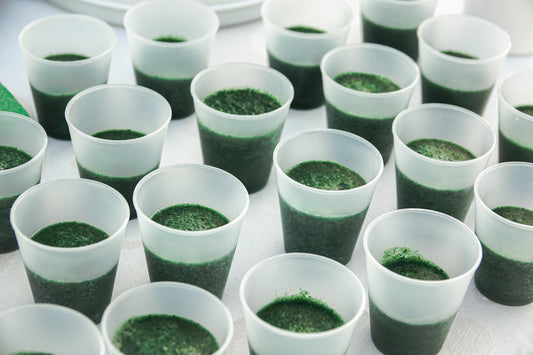 Verfrissende en voedzaame energieshake met Spirulina